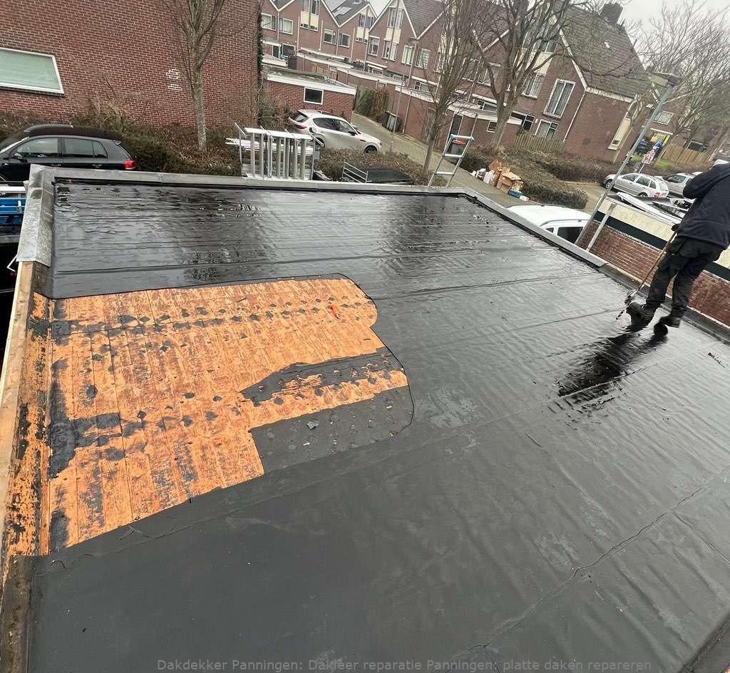 Dakleer Reparatie Panningen