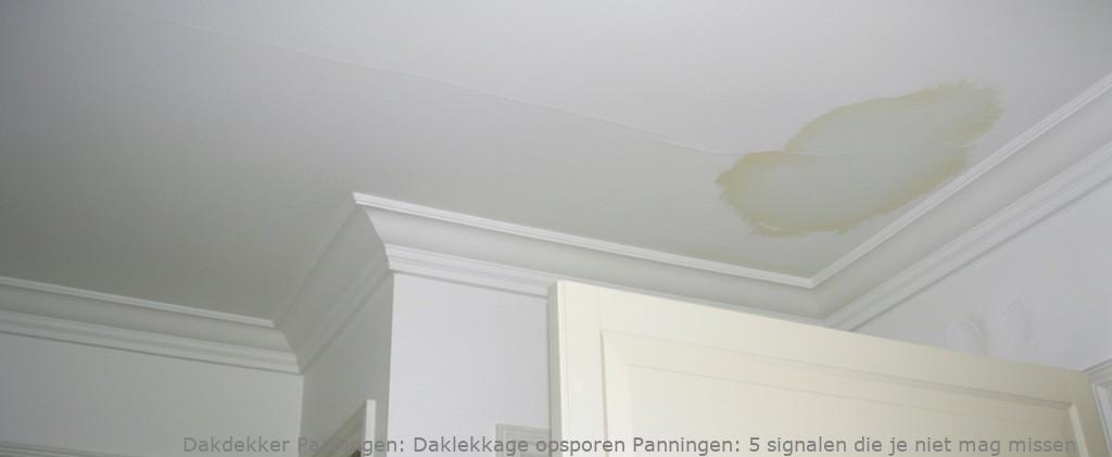 Daklekkage Opsporen Panningen 1