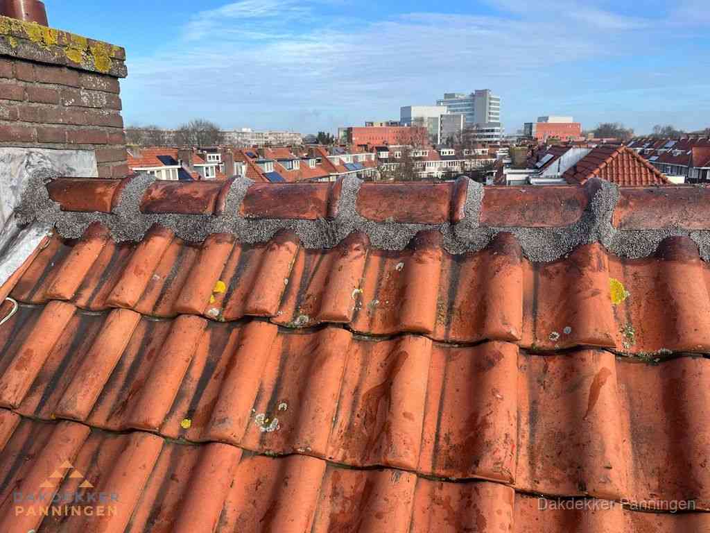 Panningen Daken Renoveren