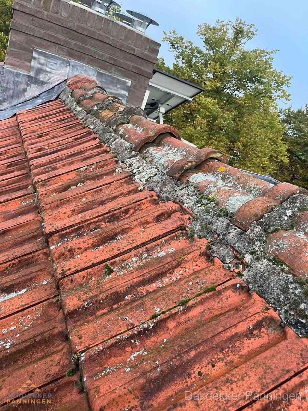 Renovatie Hellend Dak Panningen