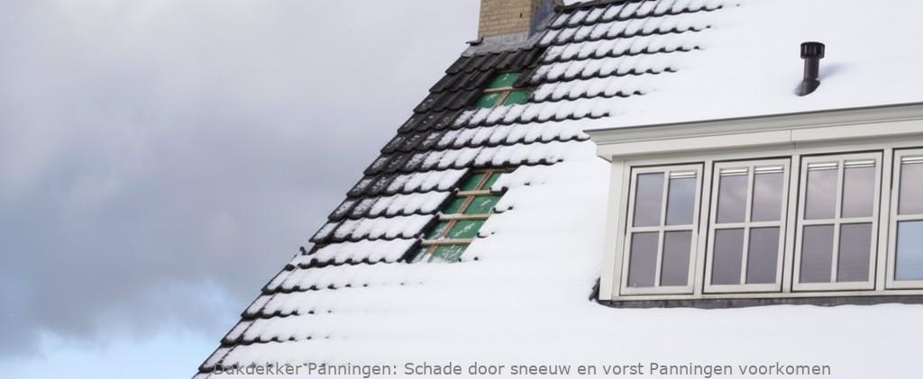 Schade door sneeuw en vorst Panningen voorkomen