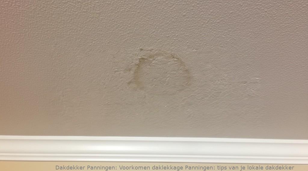 Voorkomen daklekkage Panningen: tips van je lokale dakdekker