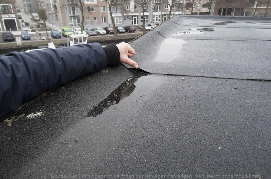 Voorkomen Daklekkages Panningen